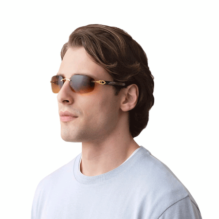 CARTIER SUNGLASSES