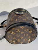 Louis Vuitton new trendy brown women’s bag