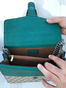 GG mixed green colour women casual and work bag